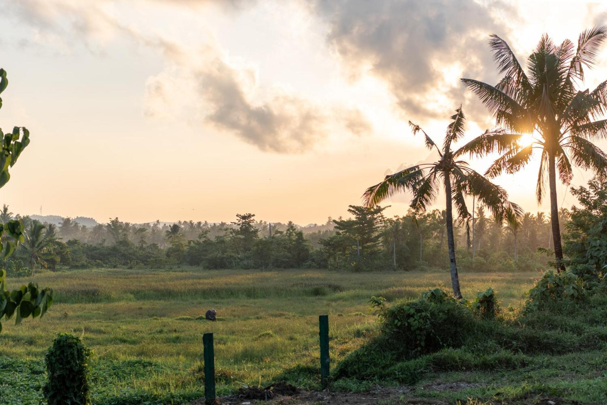 The Hillside Resort Siargao General Luna  Exterior foto